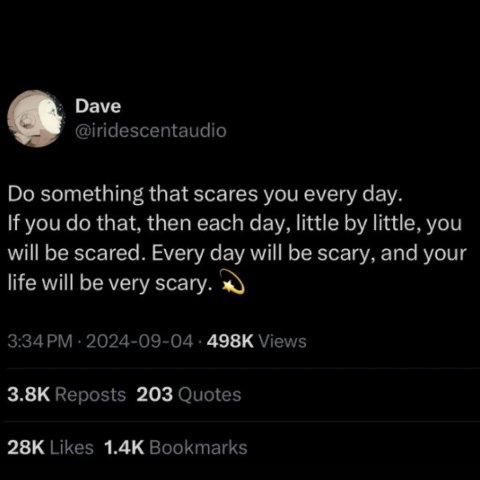 Dave @iridescentaudio something that scares you every day. К you that, then each day, little little, you will be scared. Every day will be scary, and your life will be very ж 3:34 2024-09-04 Views Rep