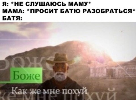 Я: *НЕ СЛУШАЮСЬ МАМУ* МАМА: *ПРОСИТ БАТЮ РАЗОБРАТЬСЯ* БАТЯ: Как же мне похуй