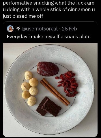 performative snacking what the fuck are doing with a whole stick of cinnamon just pissed me off @usernotsoreal 28 Feb Everyday i make myself а snack plate
