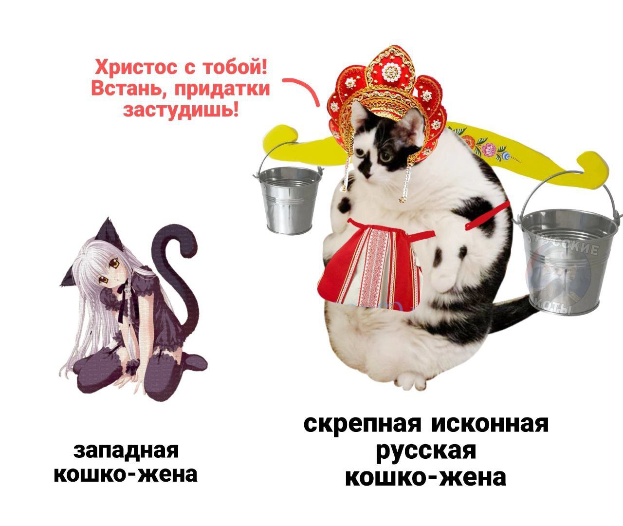 Христос с тобой! Встань, придатки застудишь! скрепная исконная западная русская кошко-жена кошко-жена