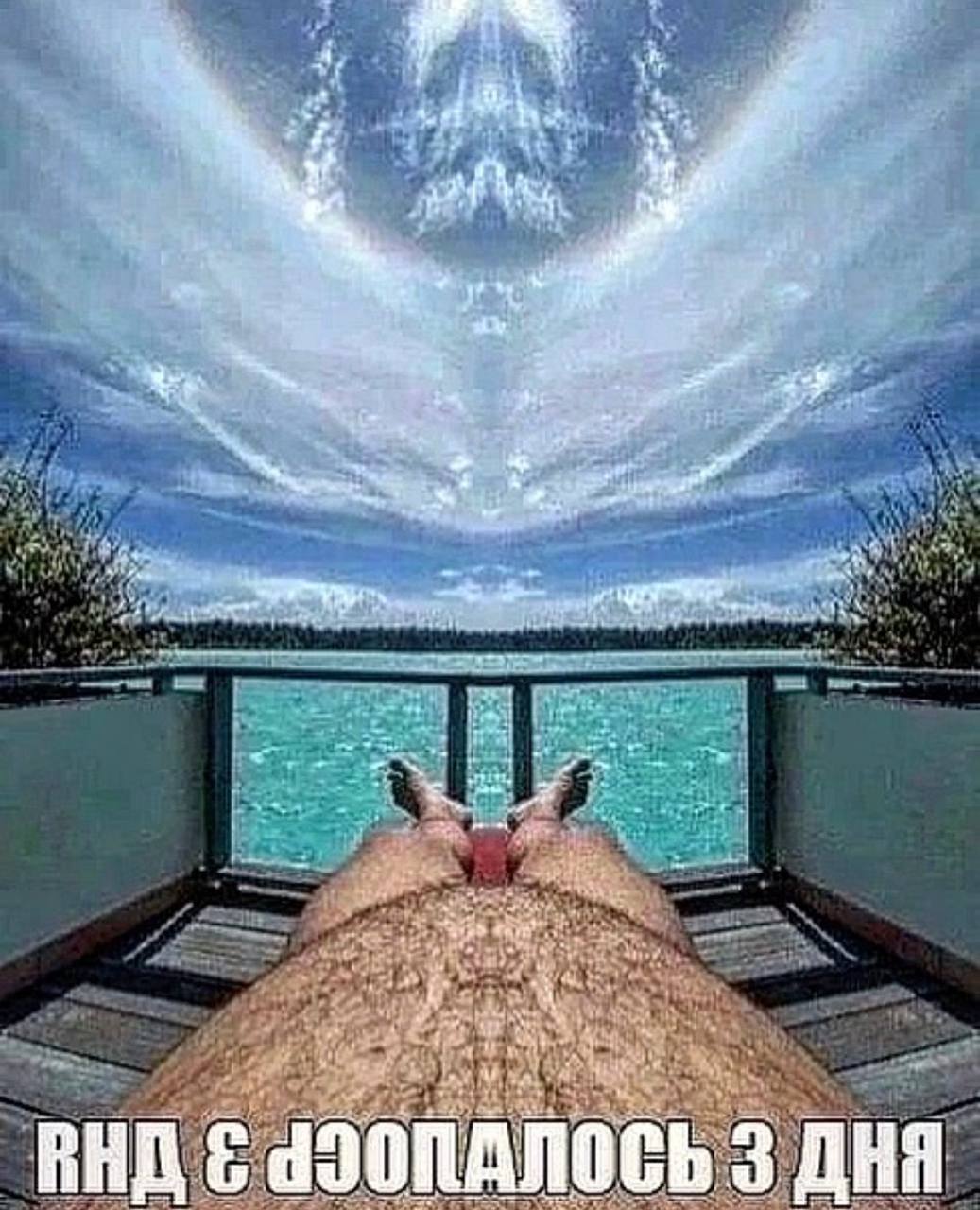А ВНД 3 ДНЯ