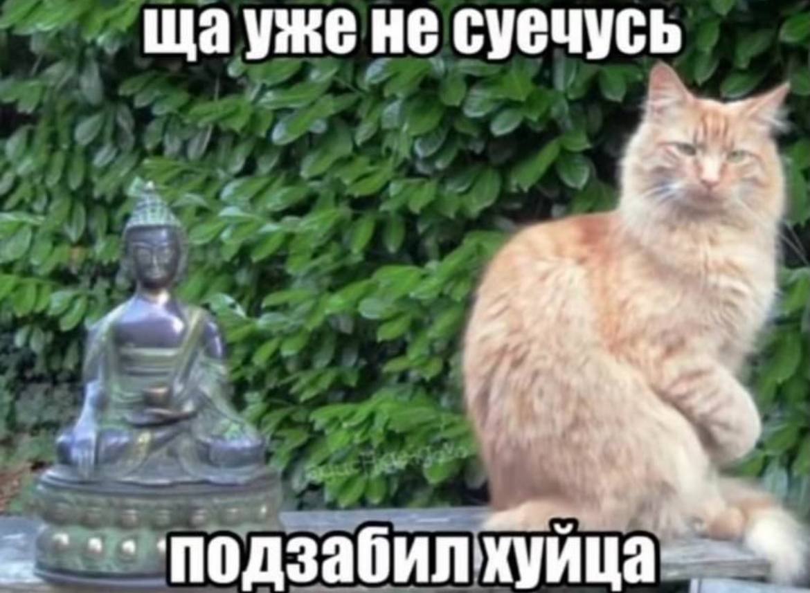 Щауже не суечусь одзабилхуица