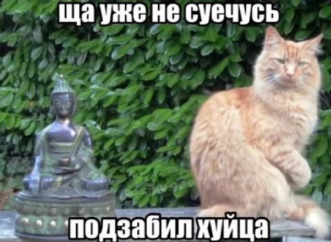 Щауже не суечусь одзабилхуица