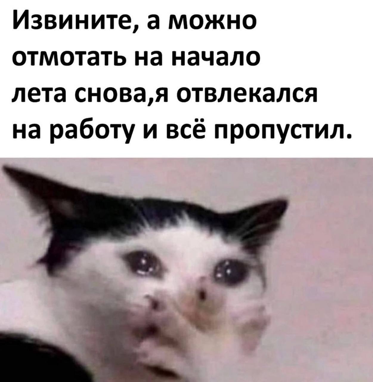 Извините, а можно отмотать на начало лета снова,я отвлекался на работу и всё пропустил