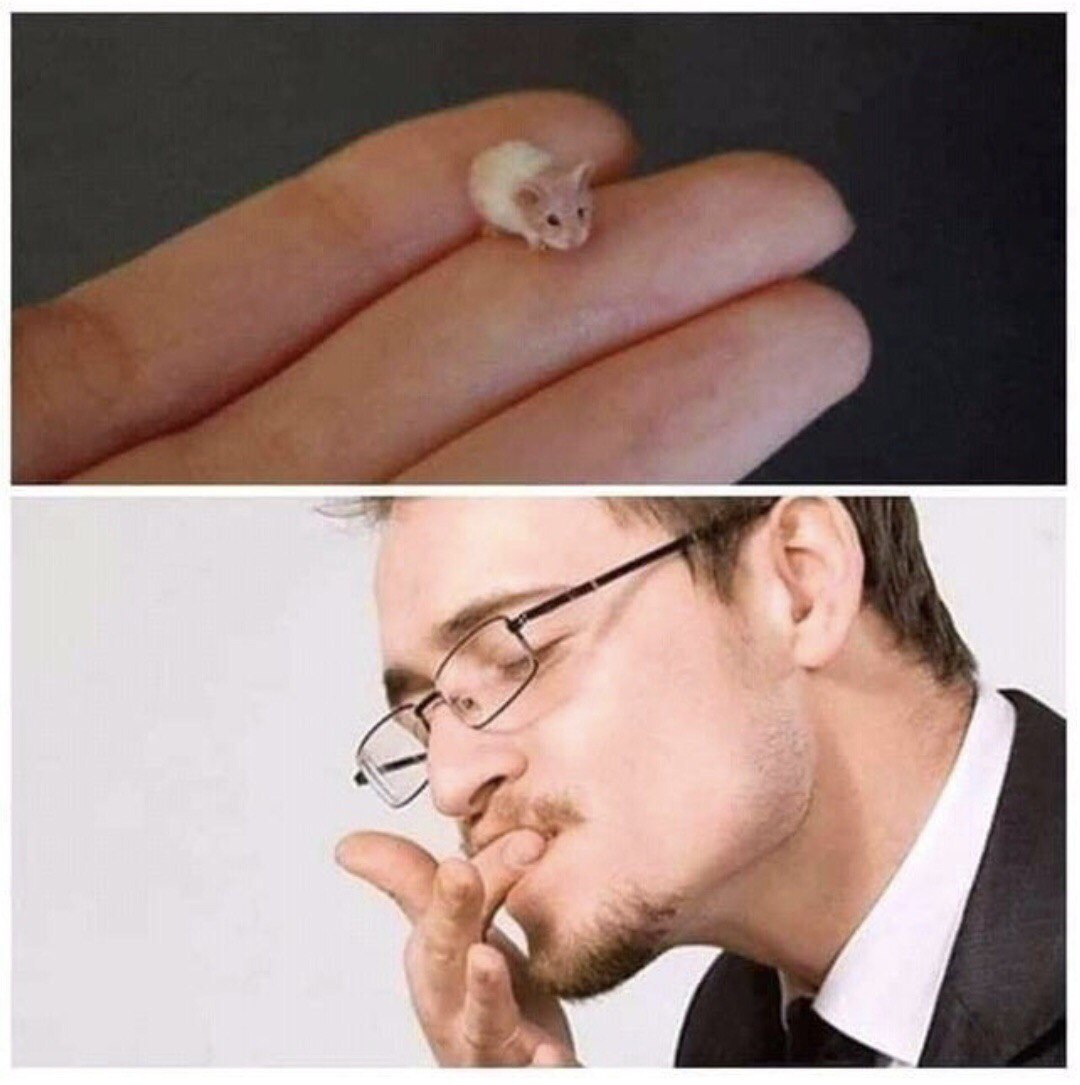 С 4 я