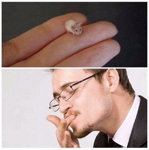 С 4 я