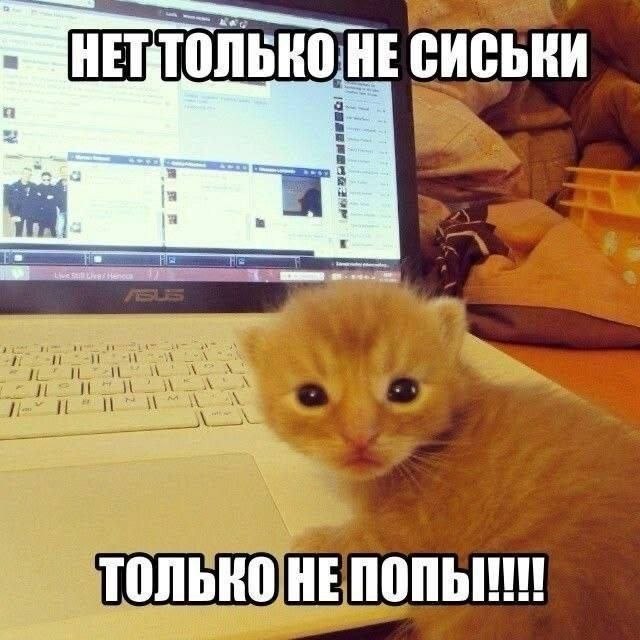 СИСЬКИ