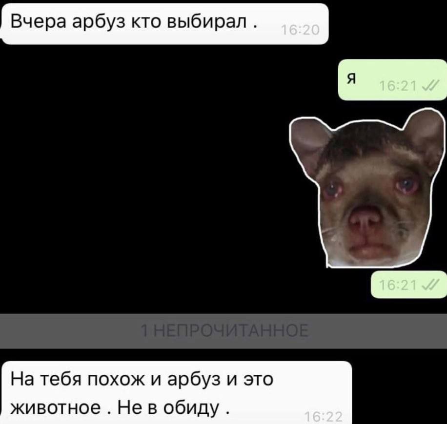 Вчера арбуз кто выбирал. На тебя похож и арбуз и это животное Не в обиду
