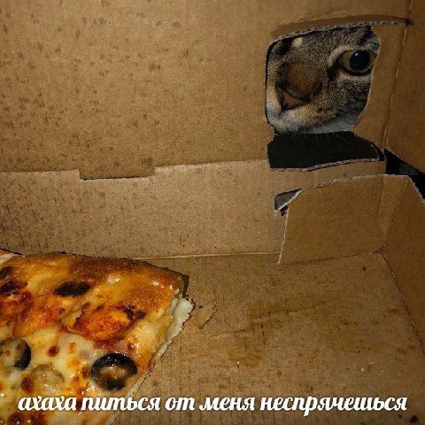 i 5 4 8% 2 2 ПУХ. питься от меня неспрячешься
