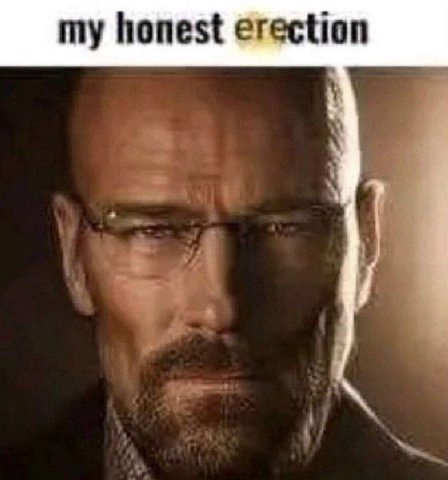 my honest erection