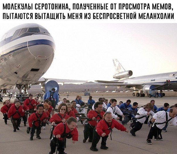 МОЛЕКУЛЫ СЕРОТОНИНА, ПОЛУЧЕННЫЕ ОТ ПРОСМОТРА МЕМОВ, ПЫТАЮТСЯ ВЫТАЩИТЬ МЕНЯ ИЗ БЕСПРОСВЕТНОЙ МЕЛАНХОЛИИ