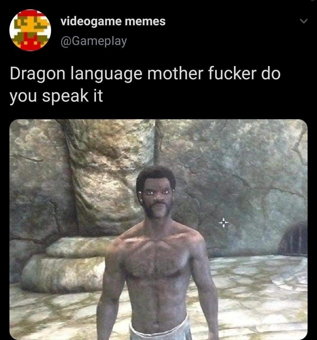videogame memes @Gameplay Dragon language mother fucker you speak it