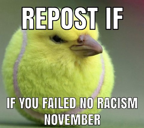 IF YOU FAILED NO NOVEMBER