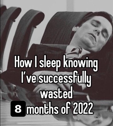 How sleep knowing I've wasted 8 months of 2022