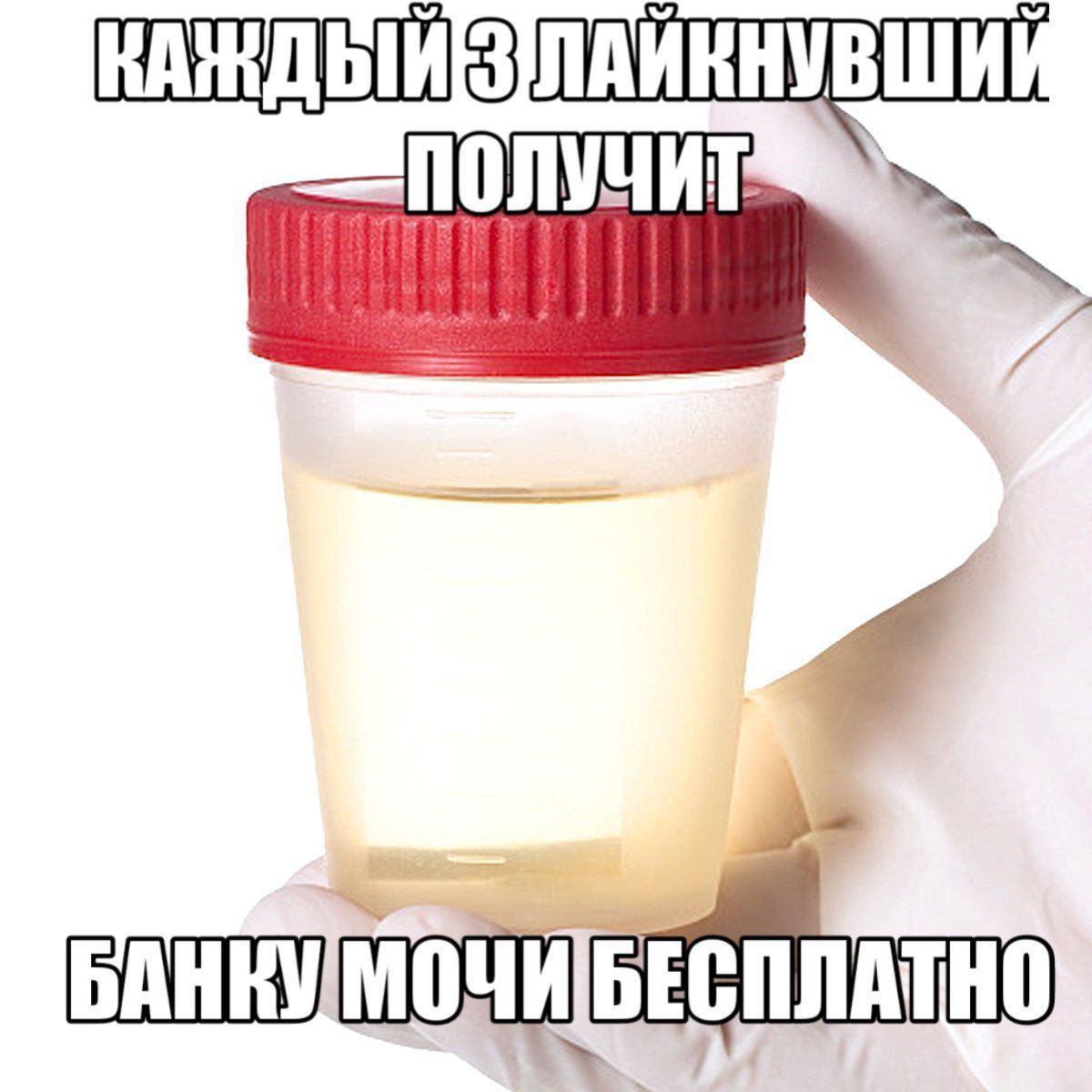 БЕСПЛАТНО