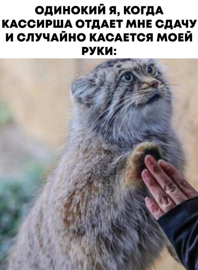ОДИНОКИЙ Я, КОГДА КАССИРША ОТДАЕТ МНЕ СДАЧУ И СЛУЧАЙНО КАСАЕТСЯ МОЕЙ РУКИ: