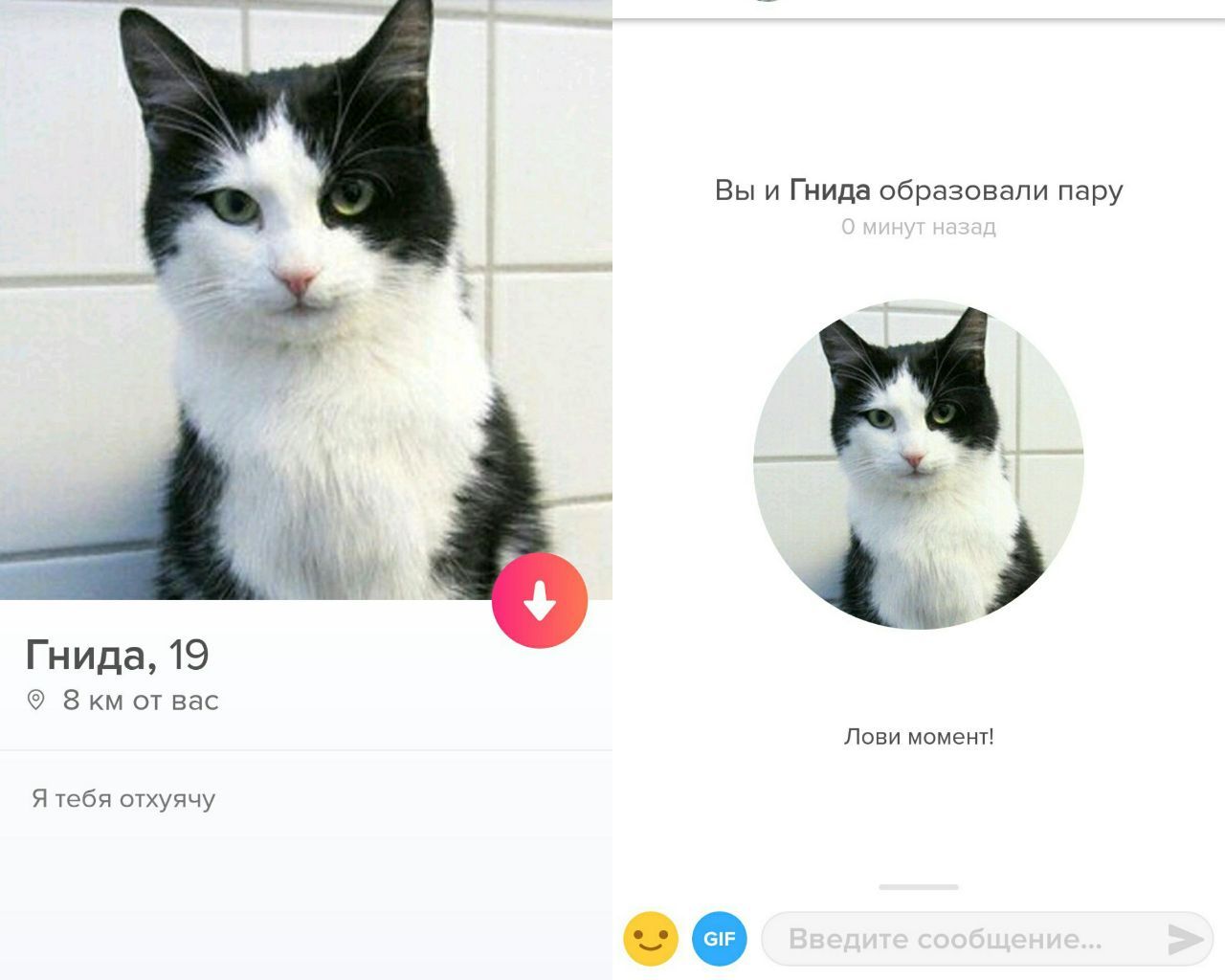 Вы и Гнида образовали пару Гнида, 19 от вас Лови момент! Я тебя отхуячу