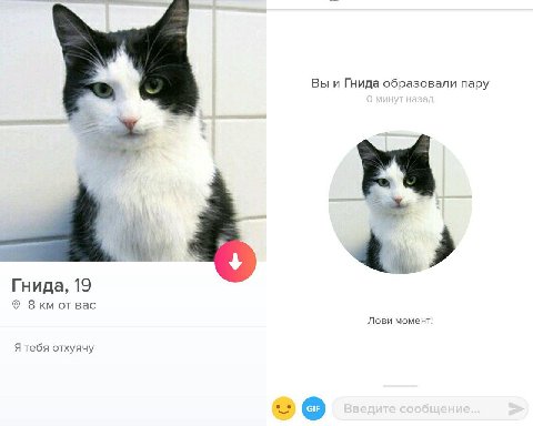 Вы и Гнида образовали пару Гнида, 19 от вас Лови момент! Я тебя отхуячу