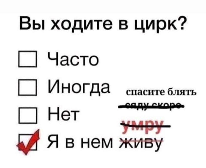 Вы ходите в цирк? Часто Иногда спасите блять Нет Я в HEM живу
