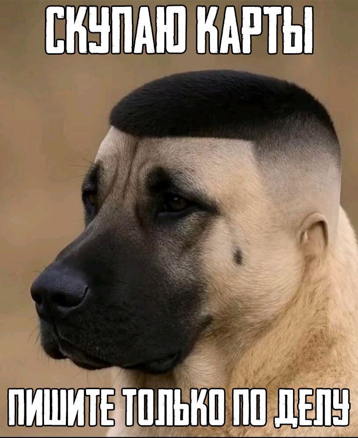 ПИШИТЕ ТОЛЬКО ПО