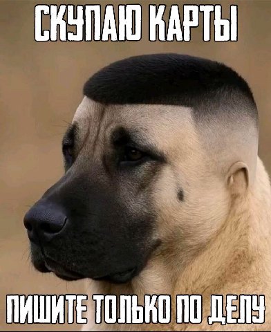 ПИШИТЕ ТОЛЬКО ПО