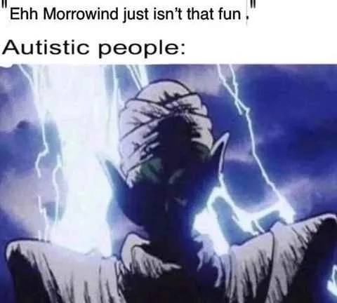 Ehh Morrowind just isn’t that fun Autistic people: