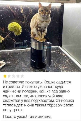 4 и i 3 a Не советую покупать! Кошка садится и греется. И самое ужасное: куда чайник ни поверни, кошка все равно сядет там так, что носик чайника окажется у нее под хвостом. От носика тепло идет, и он
