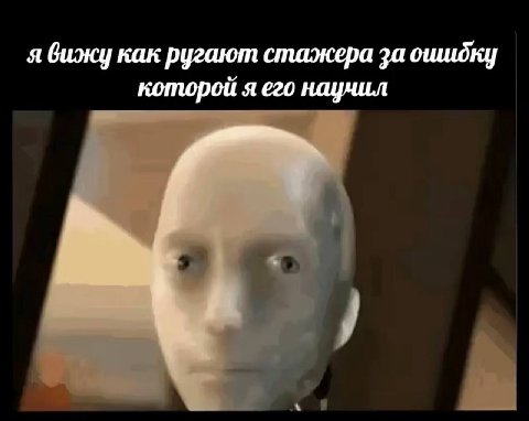 я вижу как ругают стажера за оишдку которой я его научил
