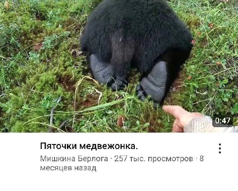 a 7 7 we 3 4 5 4 Я ECE Пяточки медвежонка. Мишкина Берлога 257 тыс. просмотров 8 месяцев назад