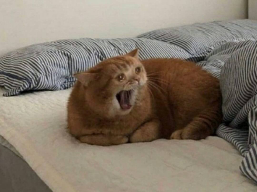 к