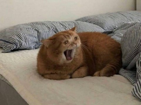 к