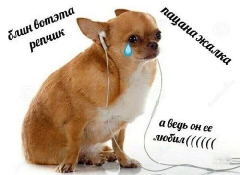 A a on ее
