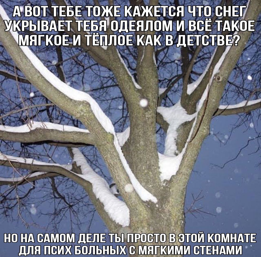 А’ВОТ ТЕБЕ ТОЖЕ КАЖЕТСЯ ЧТО СНЕГ КРЫВАЕТ ТЕБЯ'ОДЕЯЛОМ И BCE ТАКОЕ МЯГКОЕ И ТЁПЛОЕ КАК В ДЕТСТВЕ? НО САМОМ ДЕЛЕ ТЫ ПРОСТО В ЭТОЙ КОМНАТЕ ДЛЯ ПСИХ БОЛЬНЫХ С МЯГКИМИ СТЕНАМИ