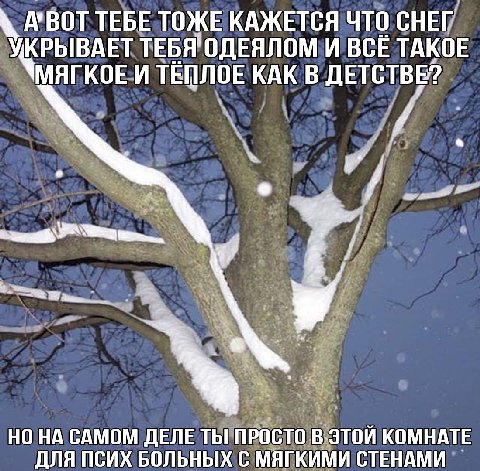 А’ВОТ ТЕБЕ ТОЖЕ КАЖЕТСЯ ЧТО СНЕГ КРЫВАЕТ ТЕБЯ'ОДЕЯЛОМ И BCE ТАКОЕ МЯГКОЕ И ТЁПЛОЕ КАК В ДЕТСТВЕ? НО САМОМ ДЕЛЕ ТЫ ПРОСТО В ЭТОЙ КОМНАТЕ ДЛЯ ПСИХ БОЛЬНЫХ С МЯГКИМИ СТЕНАМИ