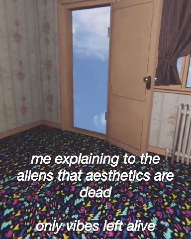 me explaining to the aliens that aesthetics are dead only vibes left alive