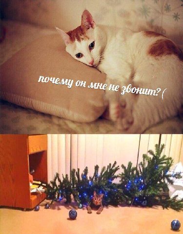 Mite не эбонит ‘a a