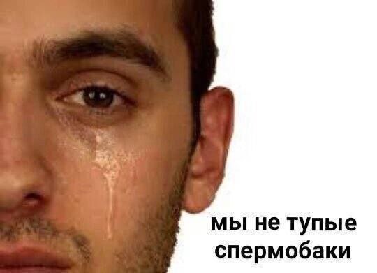 мы не тупые спермобаки