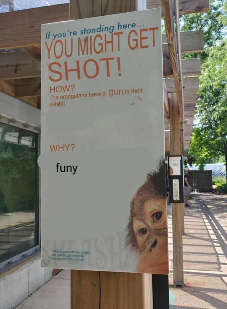 if you're standing VOU MIGHT SHOT! HOW? The orangutans have а gun in their exhibit -5, i WHY? funy