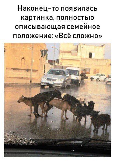 Наконец-то появилась картинка, полностью описывающая семейное положение: «Всё сложно» Я i a