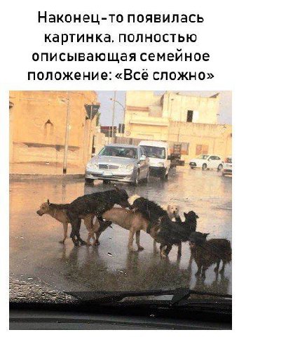Наконец-то появилась картинка, полностью описывающая семейное положение: «Всё сложно» Я i a