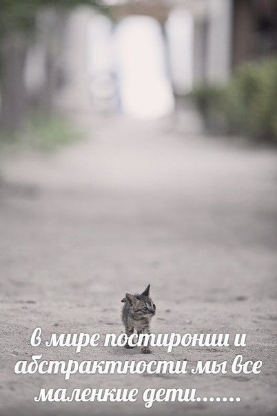 6 мире постиронии и адстрактности мы все дети