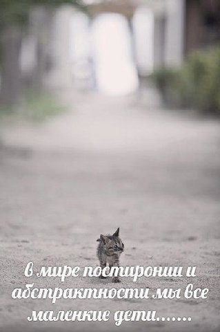 6 мире постиронии и адстрактности мы все дети