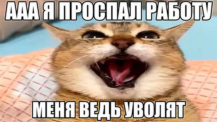 Я ПРО СПАЛ РАБОТУ я У ВЕД УВОЛЯТ
