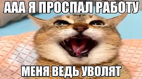Я ПРО СПАЛ РАБОТУ я У ВЕД УВОЛЯТ