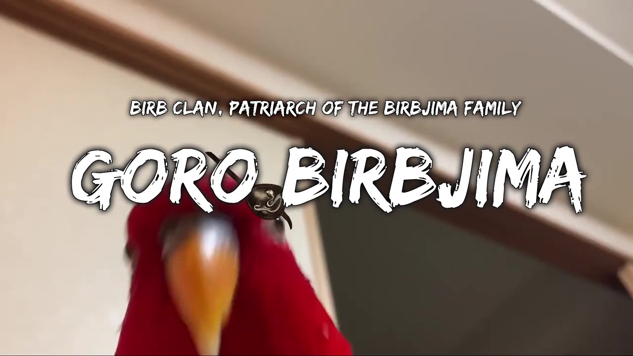 CLAN, PATRIARCH OF THE BIRBJIMA FAMILY