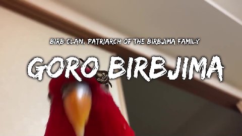 CLAN, PATRIARCH OF THE BIRBJIMA FAMILY