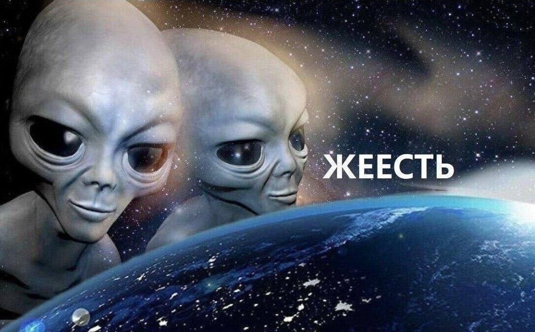 Че, реально???