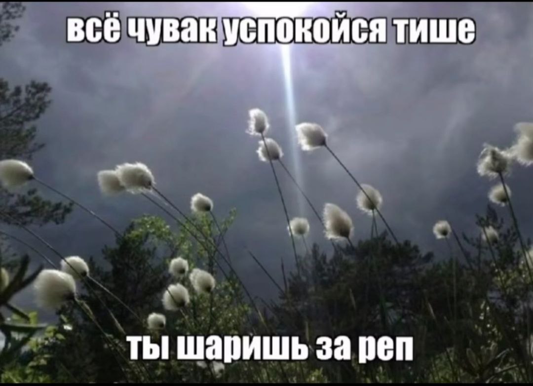 все чувак успокойся тише ты шаришь за реп