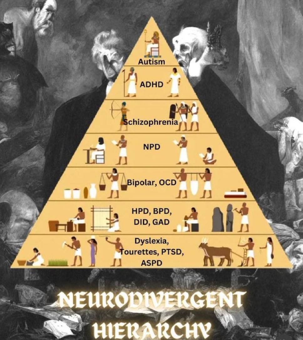 Autism ADHD chizophreniayy NPD HPD, BPD. DID, GAD Dyslexia, PTSD ANG ASPD we