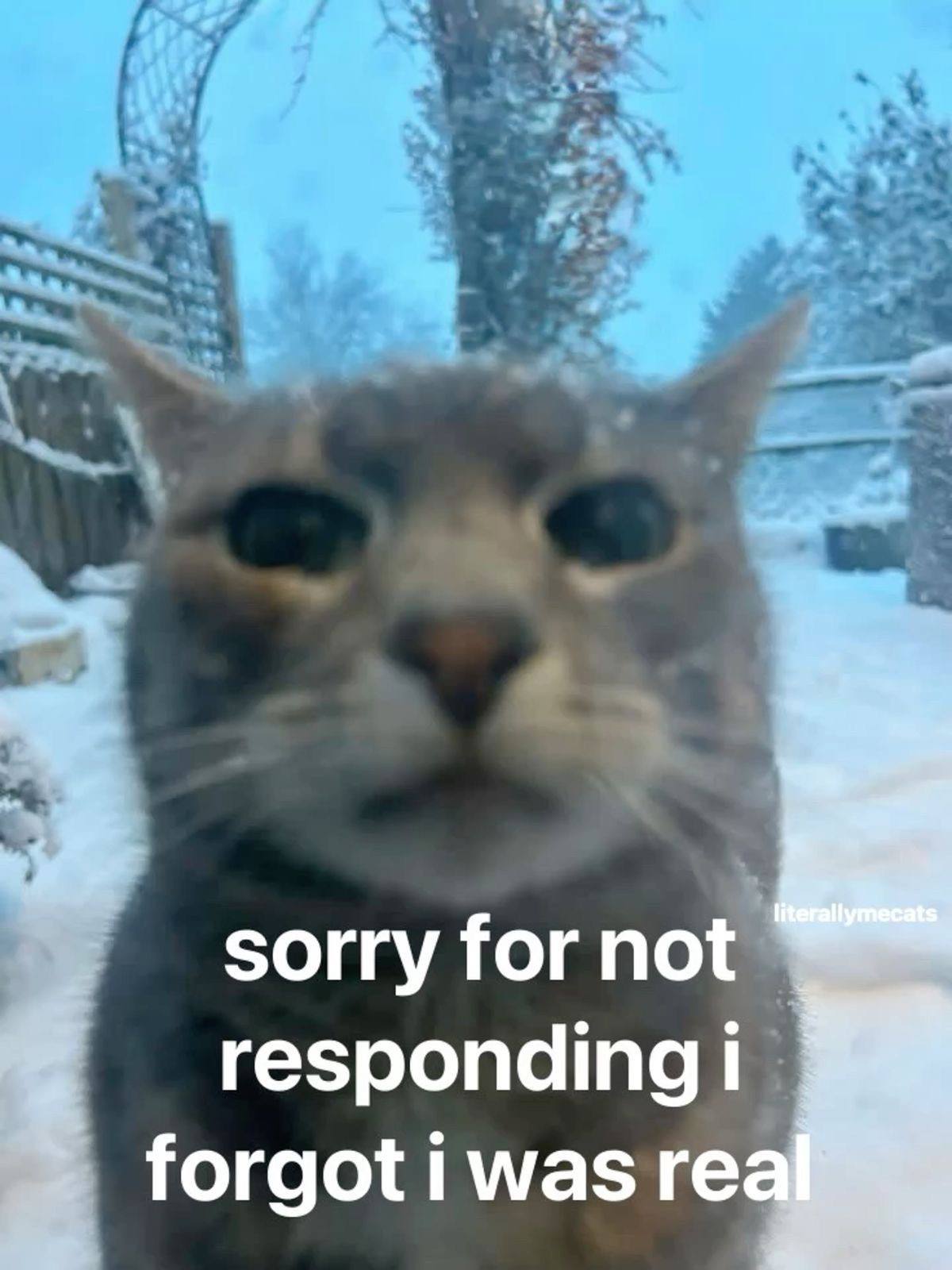 sorry for not responding forgot 1 was rea